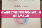 探寻都柏林理工学院学位证背后的传奇，一场真实的学术探险之旅