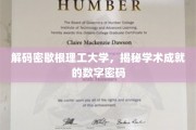 解码理工精英摇篮，密歇根理工大学的学术密码解读