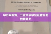 学位三重奏，揭秘学历双响炮的独特价值与魅力