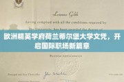 荷兰蒂尔堡大学荣耀学位，助您跨国职场飞跃之路