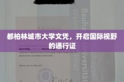 都柏林城市大学文凭，解锁全球视野的钥匙