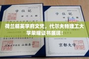荷兰顶尖学府荣耀见证，代尔夫特理工大学毕业证书闪耀登场！