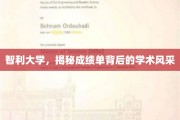 智利大学，揭秘成绩单背后的学术风采