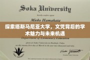 解码塔大荣耀，文凭背后揭秘学术瑰宝与无限前景