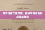 哥本哈根学霸养成记，揭秘工程学院的学霸成绩单秘诀