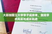 大邱加图立大学学子，成绩单背后的青春足迹与卓越成就