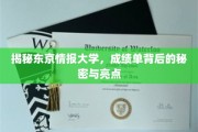 东京情报大学揭秘，探秘成绩单背后的独特魅力与不为人知的亮点