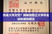 真假难辨，加图立大学文凭风波，揭秘现代学历造假乱象