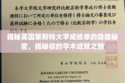 解码莱斯特大学成绩单，解锁你的学术成就密码