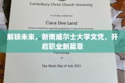 跨越新界，南威尔士文凭引领求职新潮