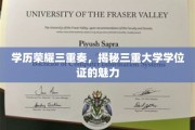 学位三合一，探寻高学历的跨界魅力之旅