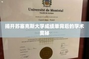 解码苏塞克斯大学成绩单，探寻学术成就的秘密通道
