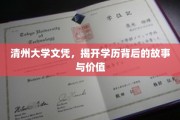 清州文凭背后，探寻学历的深层价值与传奇故事