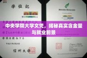 中央学院大学文凭解析，含金量与就业前景双重解读