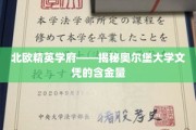 北欧教育瑰宝，奥尔堡大学学位，职场精英的黄金跳板