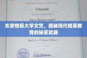 东京情报大学，揭秘精英学子背后的神秘学位