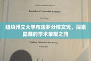 解码纽约州立布法罗分校，揭秘不为人知的学历成就之旅