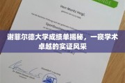 解码谢菲尔德大学成绩单，探寻卓越学术背后的真实风采