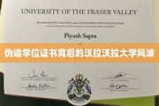 沃拉沃拉大学学位门，揭秘学历造假背后的惊心动魄真相