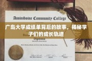 广岛大学成绩单，学子成长轨迹的幕后传奇