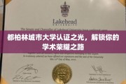 都柏林城大荣光认证，助你开启学术巅峰之旅