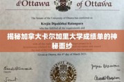 加拿大卡尔加里大学成绩单背后的独特奥秘