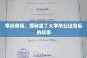 里丁大学文凭之光，探寻学历背后的传奇历程