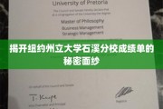 揭秘石溪分校成绩单背后的不为人知故事