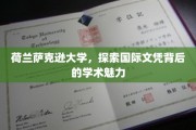 荷兰萨克逊大学，探索国际文凭背后的学术魅力