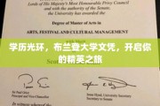 精英启航，布兰登大学文凭，成就非凡人生篇章