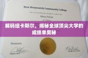 探寻纽卡斯尔大学，全球一流学府的卓越成就之谜
