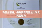 解码马里兰荣耀，揭秘顶尖大学文凭的非凡魅力