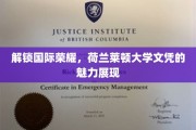 跨国梦想启航点，揭秘荷兰莱顿大学文凭的全球认可力