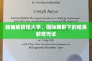 新加坡管理大学，培养全球视野的精英教育翘楚