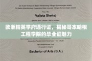哥本哈根工程学院毕业证，开启欧洲精英学府的神秘钥匙