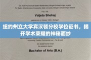 解锁学术巅峰，纽约州立大学宾汉顿分校学位证书背后的荣耀故事