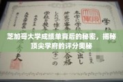 探寻芝加哥大学成绩单的神秘面纱，揭秘名校评分不为人知的内幕
