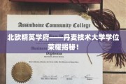 探索丹麦技术大学，揭开北欧精英学府的学位光环之谜