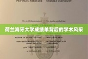 荷兰海牙大学，成绩单揭开学术魅力一角
