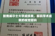 解码新南威尔士大学成绩单，揭开学术成就的视觉秘密