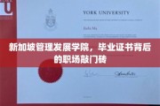 新加坡MDI证书，开启职场新篇章的黄金钥匙